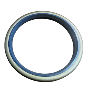 SEAL DUST | CASE | 580SLE | D123655