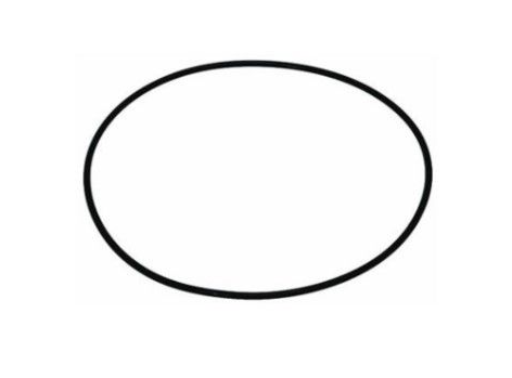 O RING | DANA | 222/52 | 001.05.1178
